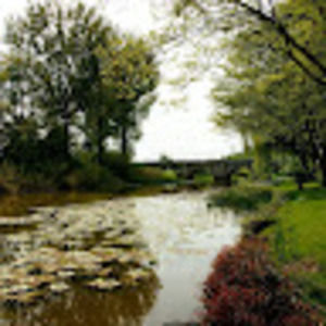 Meet your Posher, Adrian